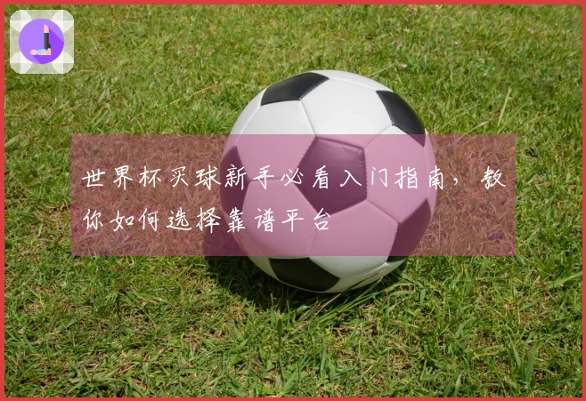 世界杯买球新手必看入门指南，教你如何选择靠谱平台