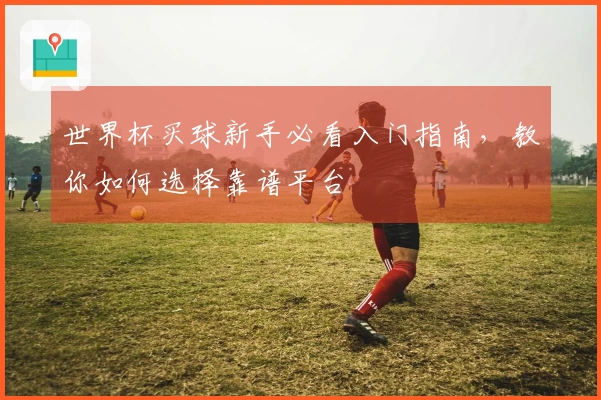 世界杯买球新手必看入门指南，教你如何选择靠谱平台