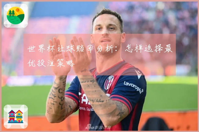 世界杯让球赔率分析：怎样选择最优投注策略