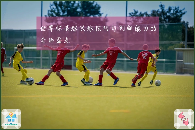 世界杯滚球买球技巧与判断能力的全面盘点